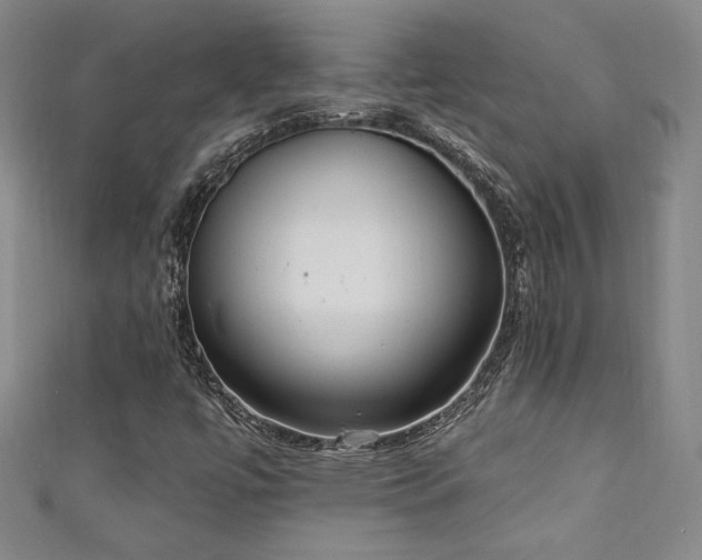 X0000111131447200906301200