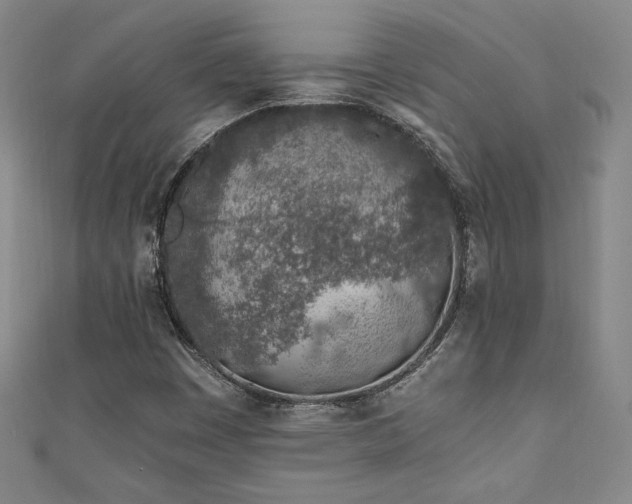 X0000111131449200906301200