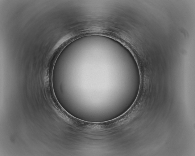 X0000111131450200906301200