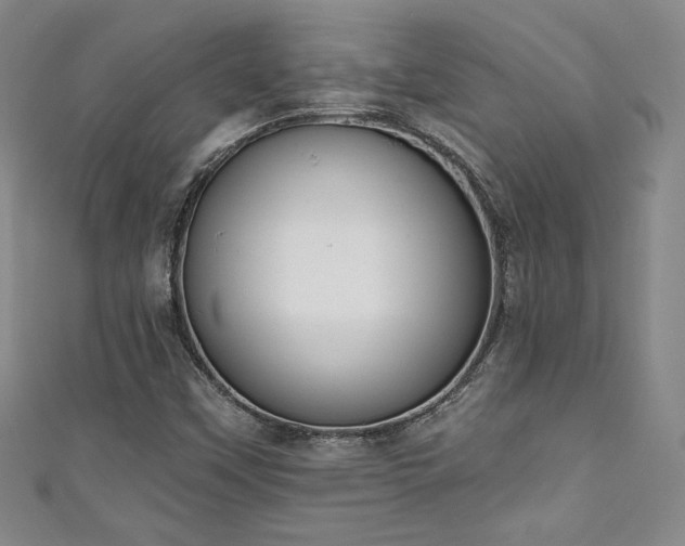 X0000111131451200906301200