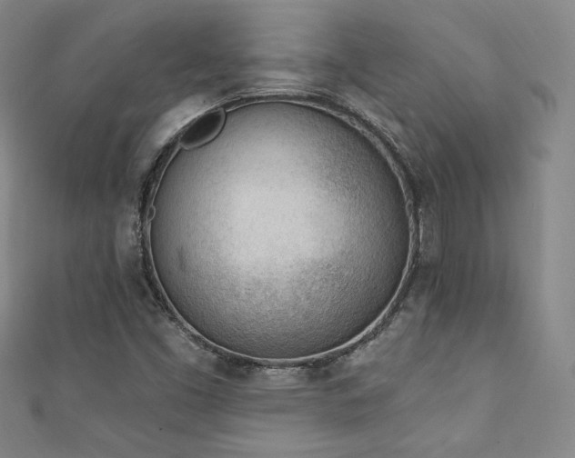 X0000111131453200906301200