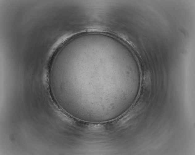 X0000111131454200906301200