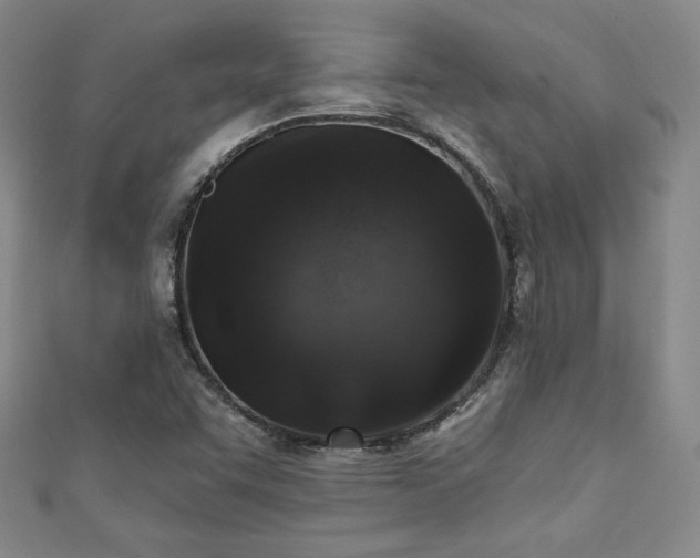 X0000111131455200906301200