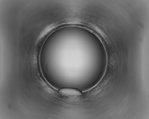 X0000111131456200906301200