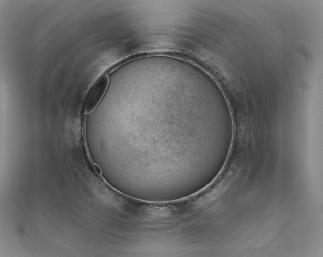 X0000111131457200906301200