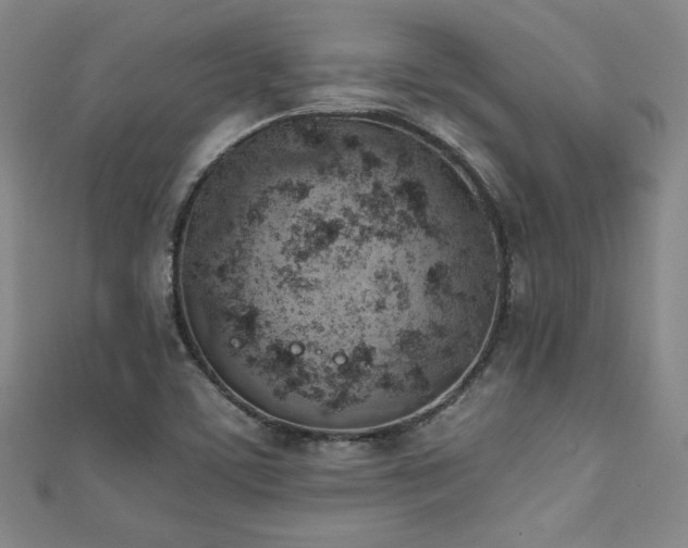 X0000111131459200906301200