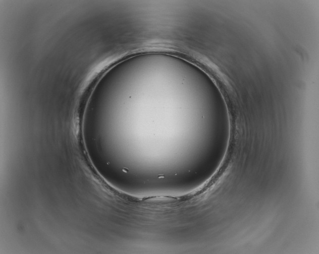 X0000111131461200906301200