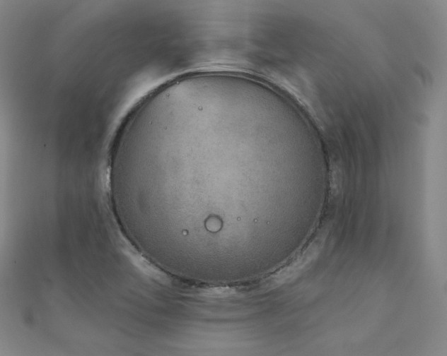 X0000111131462200906301200