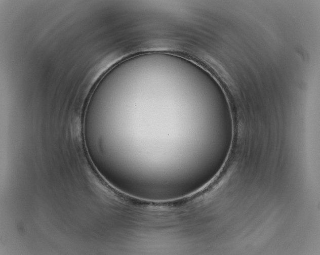 X0000111131465200906301200