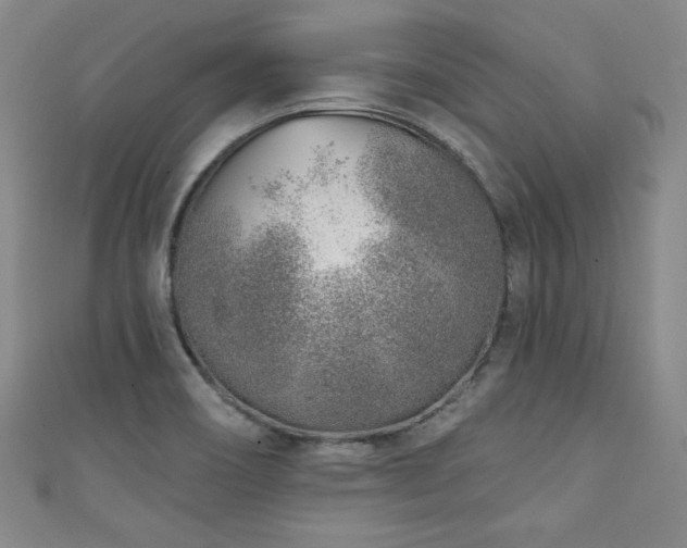 X0000111131466200906301200