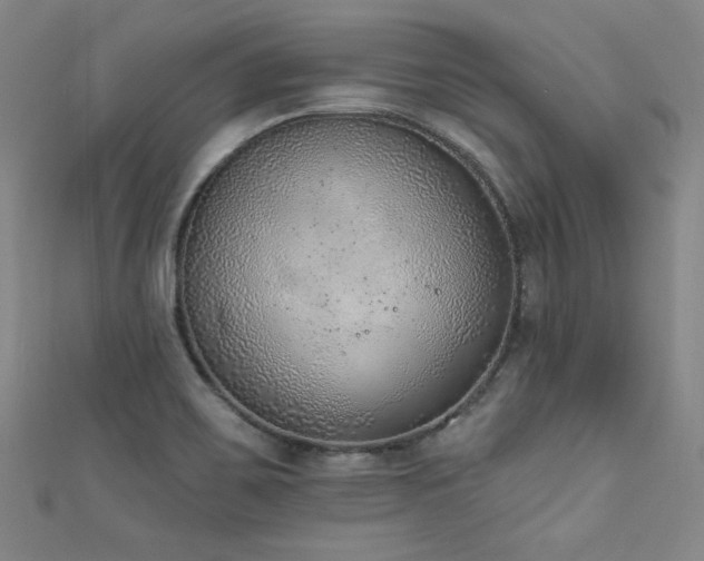 X0000111131467200906301200