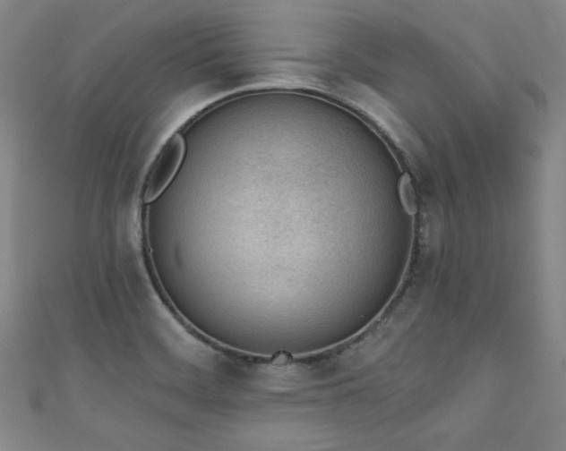 X0000111131468200906301200
