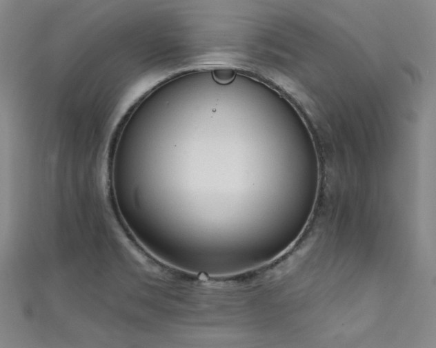 X0000111131469200906301200