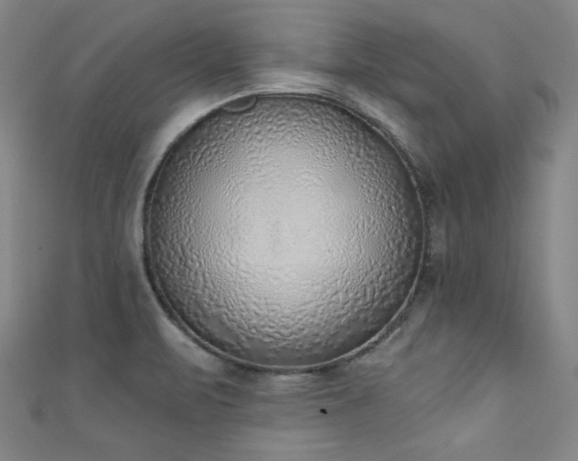X0000111131471200906301159