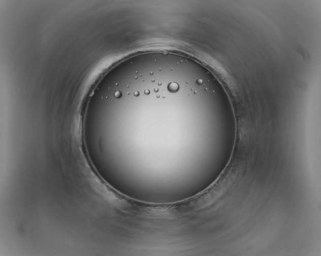 X0000111131472200906301159