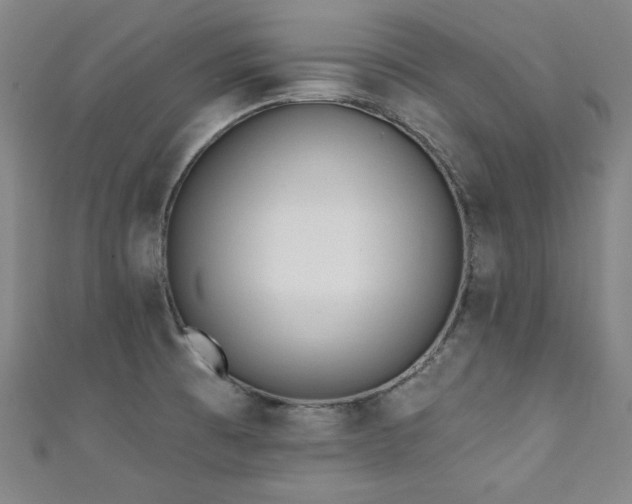 X0000111131473200906301159