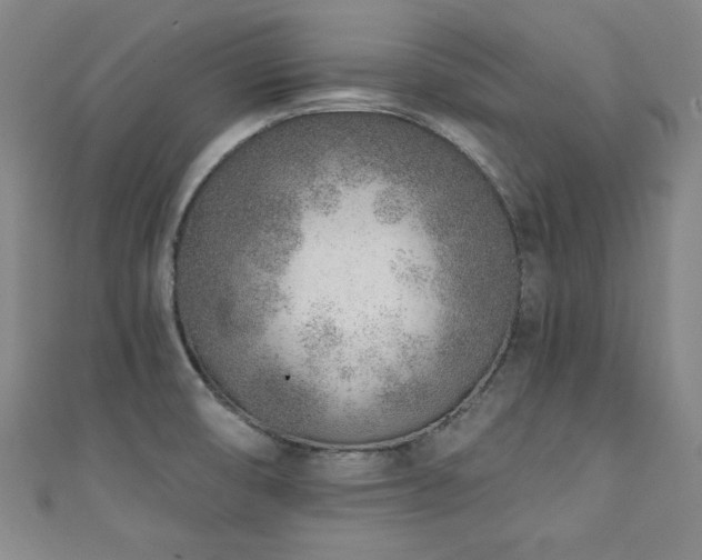 X0000111131474200906301159