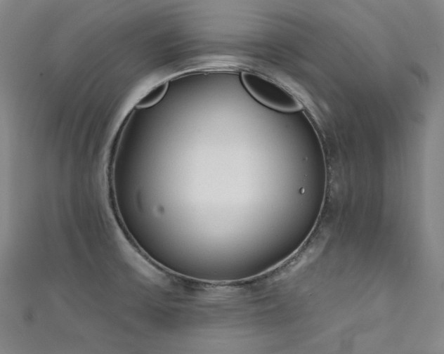 X0000111131475200906301159