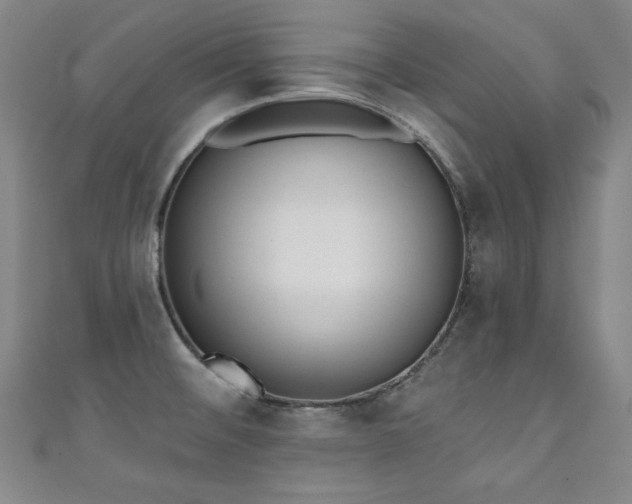 X0000111131476200906301159