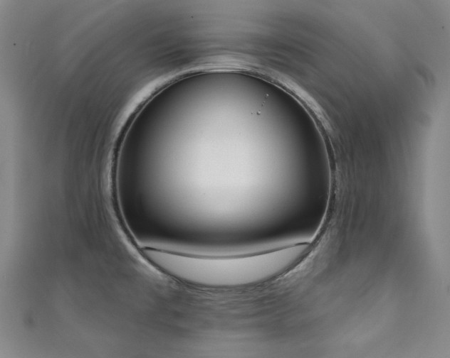 X0000111131477200906301159