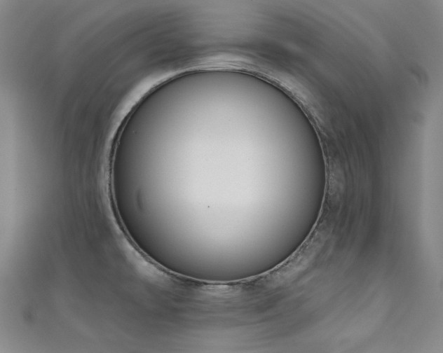 X0000111131478200906301159