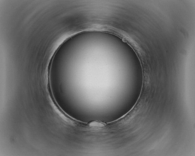 X0000111131479200906301159