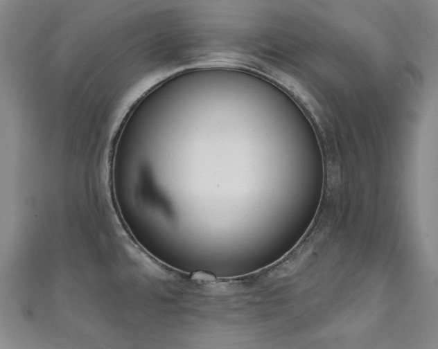 X0000111131480200906301159