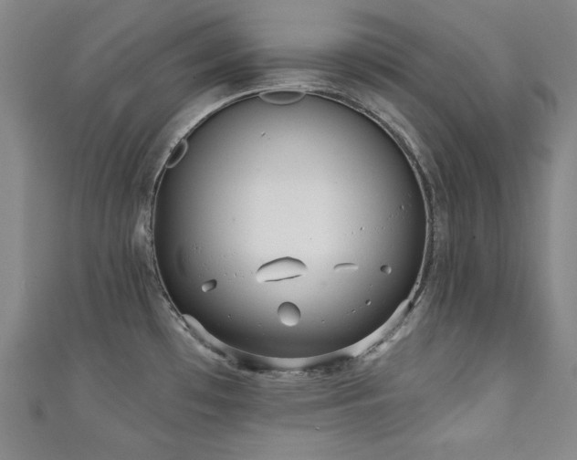 X0000111131481200906301159