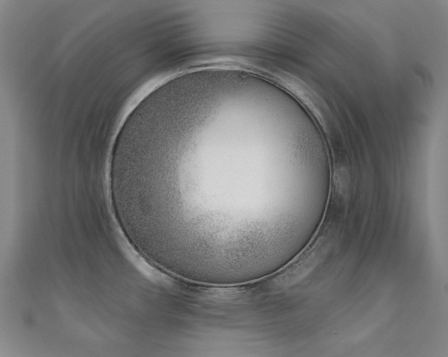 X0000111131482200906301159