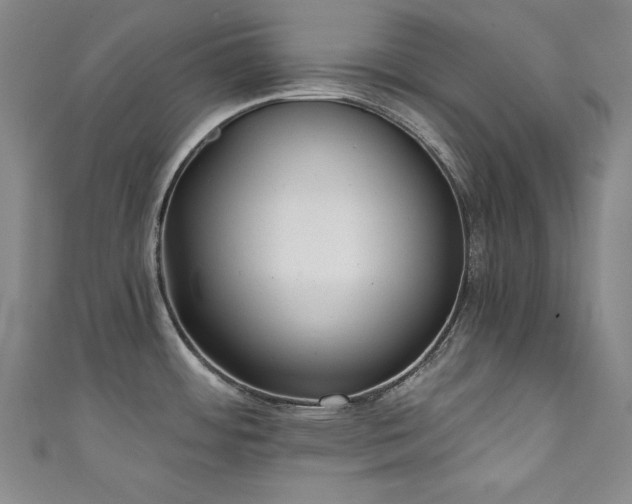 X0000111131484200906301159