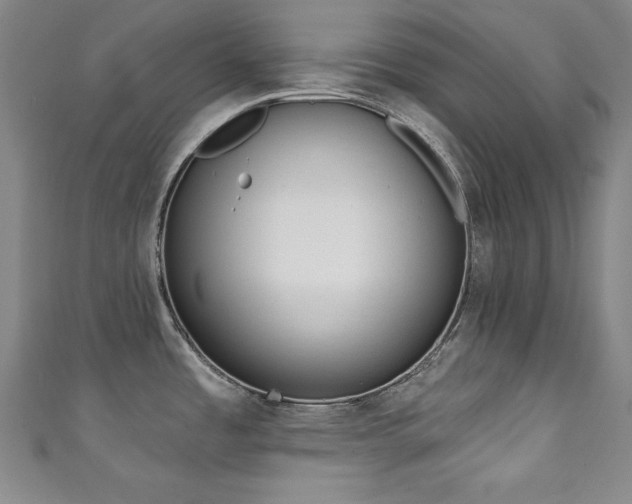 X0000111131485200906301159