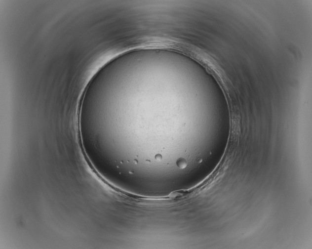 X0000111131487200906301159