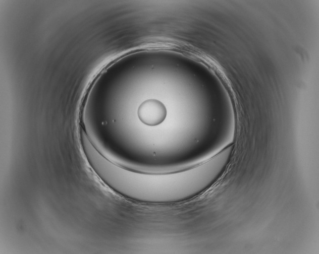 X0000111131488200906301159