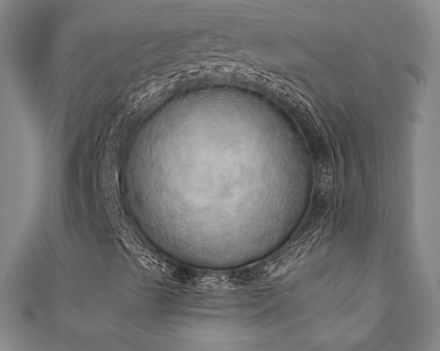 X0000111131489200906301159
