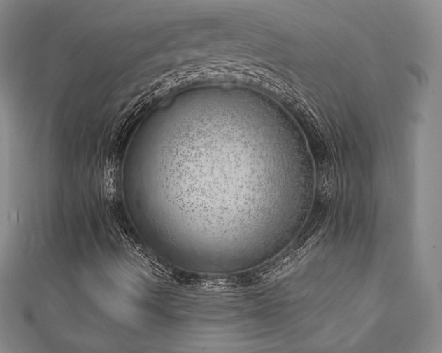 X0000111131490200906301159