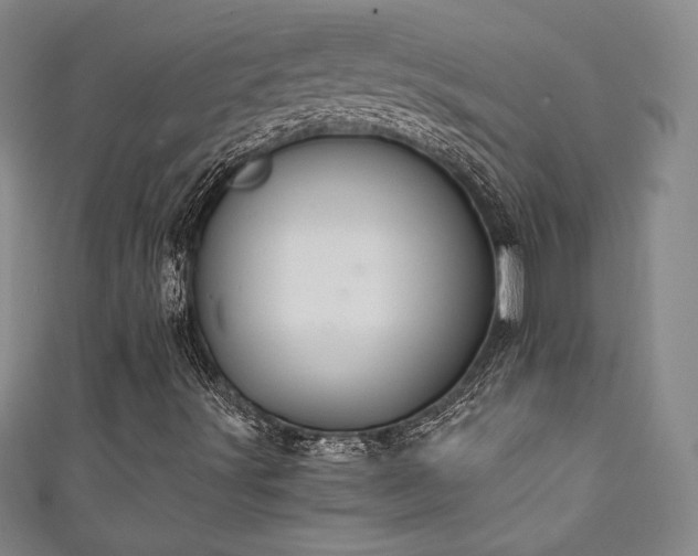 X0000111131491200906301159