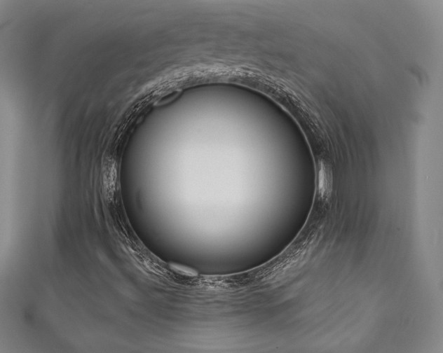 X0000111131492200906301159