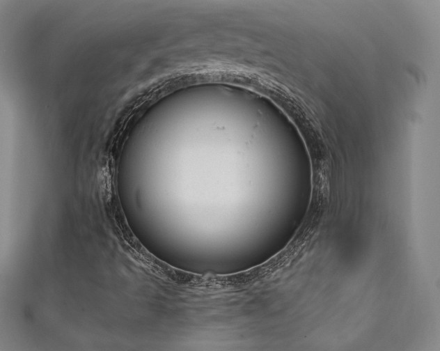 X0000111131493200906301159