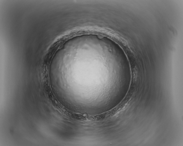 X0000111131494200906301159
