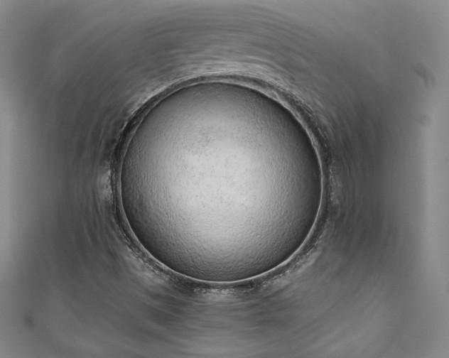 X0000111131497200906301159