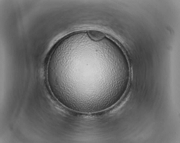 X0000111131501200906301159