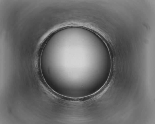 X0000111131502200906301159