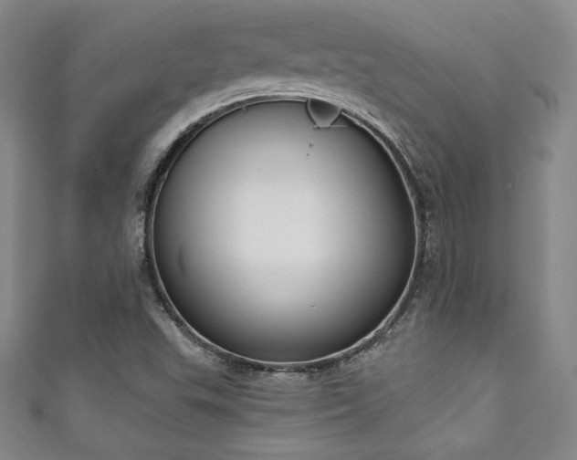 X0000111131503200906301159