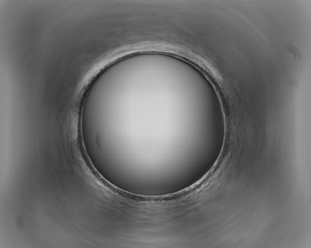 X0000111131504200906301159