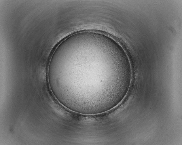 X0000111131505200906301159