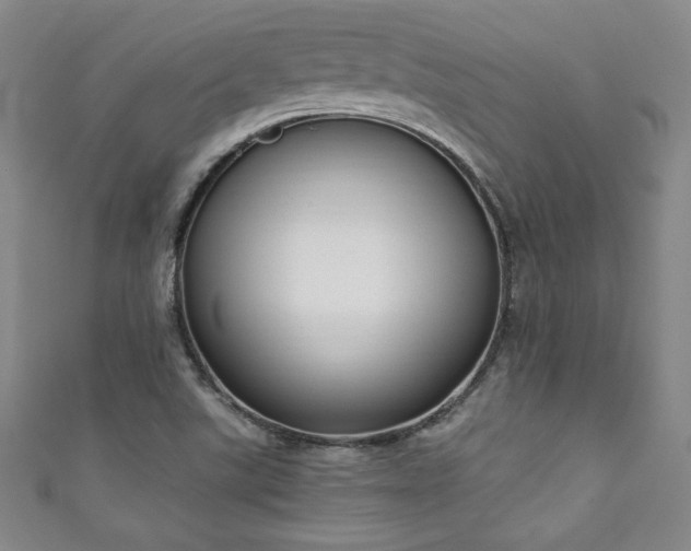 X0000111131507200906301159