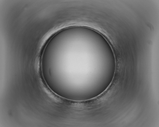 X0000111131511200906301159