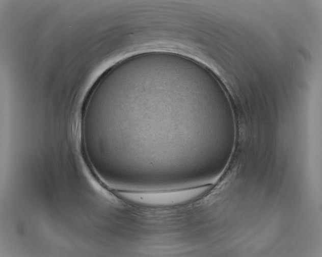 X0000111131515200906301159