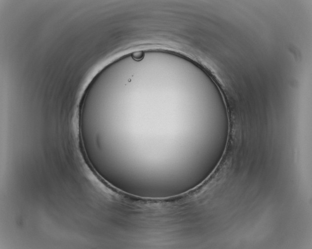 X0000111131516200906301159