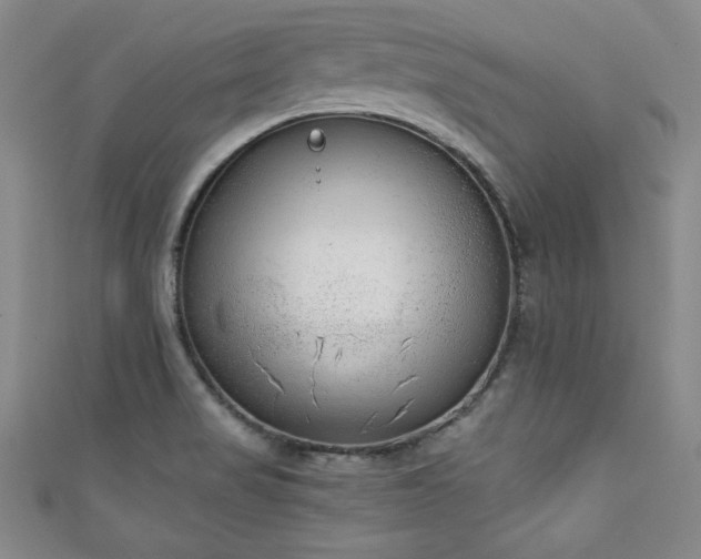 X0000111131517200906301159